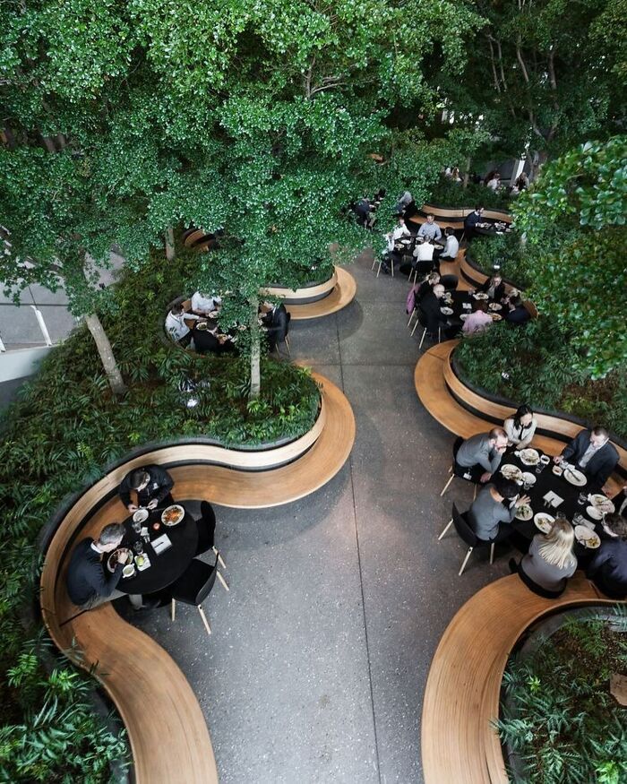 Innovative Cafe Design Merges Nature and Modern Aesthetics for a Unique Dining Experience