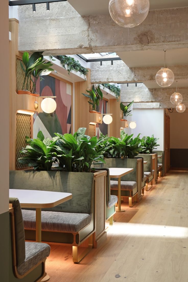 Bright and Inviting Cafe Design: A Harmonious Blend of Comfort, Style, and Nature