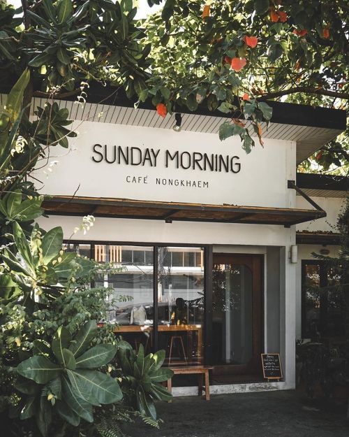 Charming Cafe Blends Modern Design with Nature for a Relaxing Atmosphere