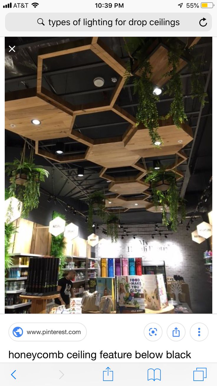 Striking Honeycomb Ceiling Blends Modern Aesthetics with Natural Elements for Inviting Cafe Design