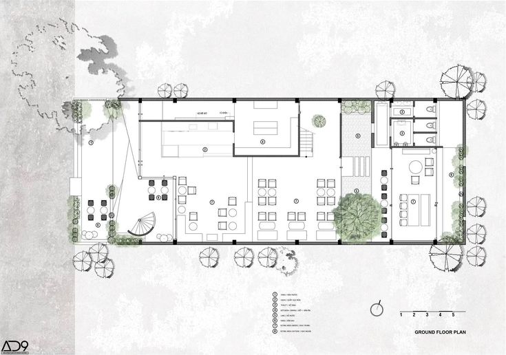 Modern Cafe Design: Spacious Layout Promoting Social Interaction and Relaxation