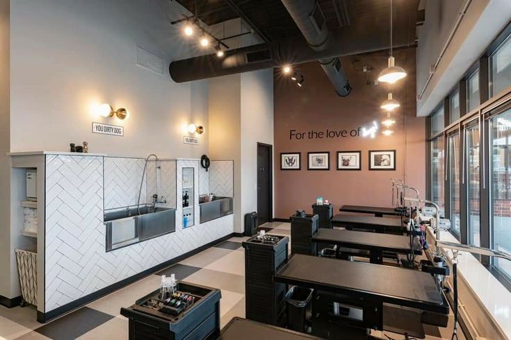 Modern Minimalist Cafe Design with Bright Aesthetics and Functional Workspace