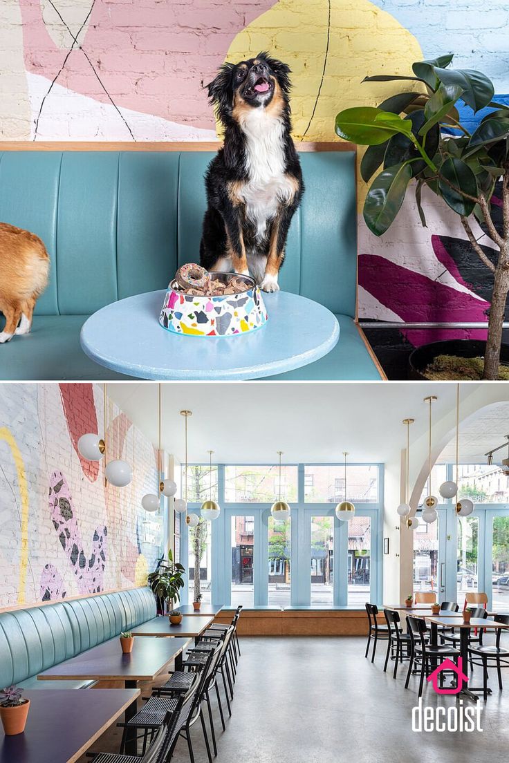 Vibrant Cafe Design: Playful Pastels, Inviting Atmosphere, and Cozy Social Spaces