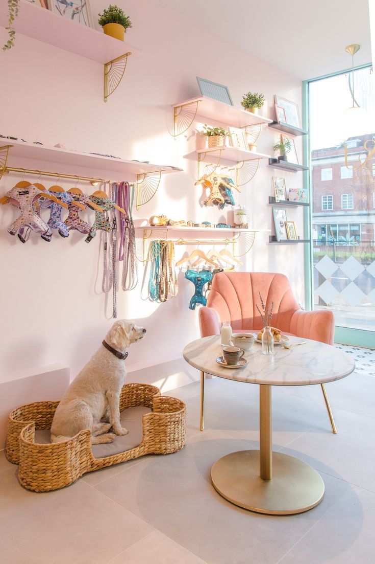 Charming Cafe Design: Playful Pink Walls, Elegant Gold Accents, and a Pet-Friendly Atmosphere