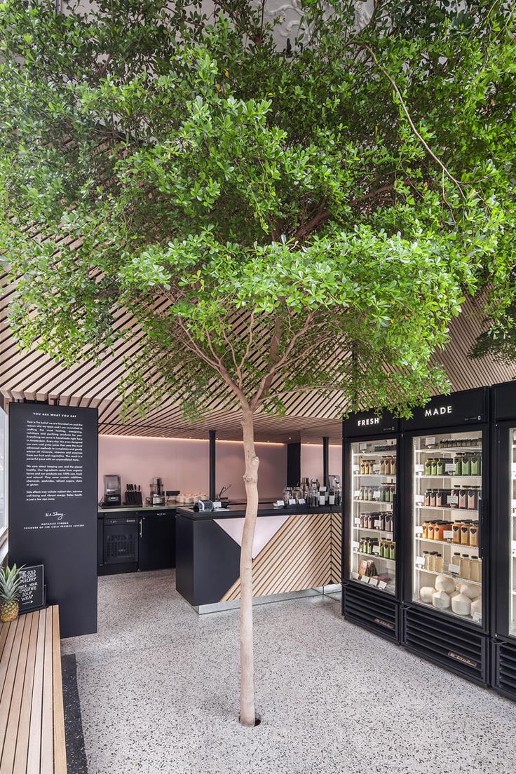 Tranquil Cafe Design Harmonizes Nature and Modernity with Central Tree and Sleek Finishes