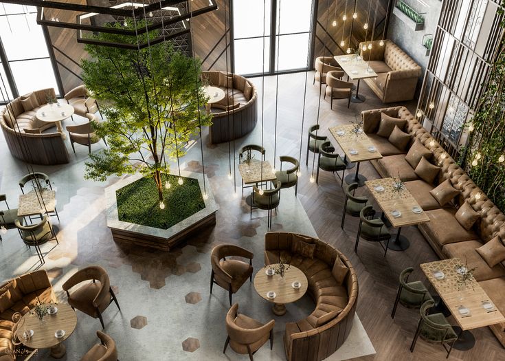 Inviting Cafe Design: A Harmonious Blend of Nature, Comfort, and Light