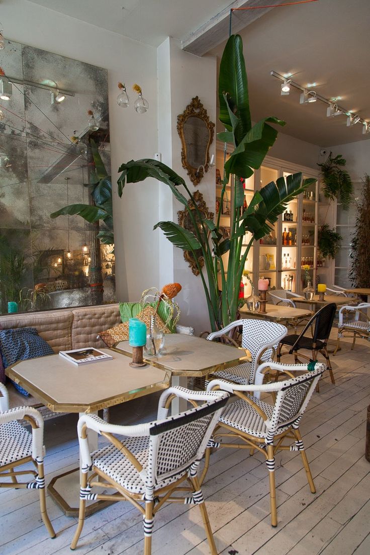 Charming Cafe Design: A Warm, Inviting Atmosphere Enriched by Natural Light and Eclectic Decor