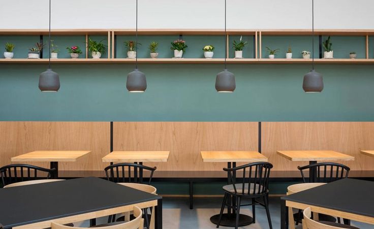 Cafe Design: A Harmonious Fusion of Natural Materials and Minimalist Aesthetic