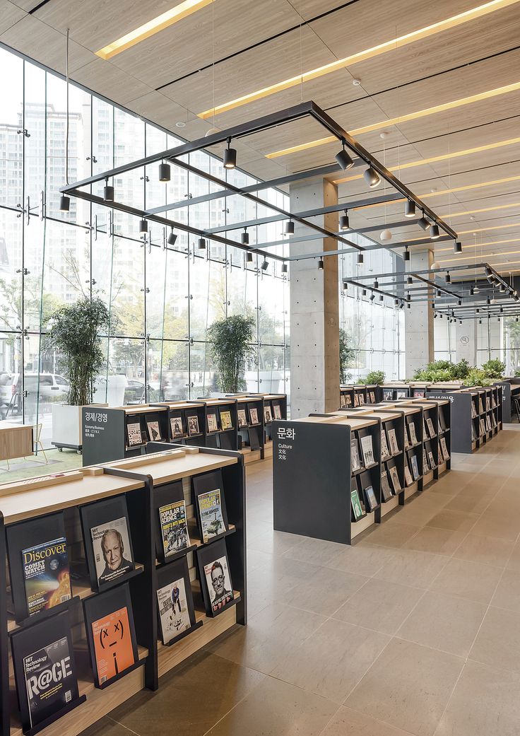 Spacious Modern Cafe Design with Natural Light, Open Shelving, Contemporary Lighting, and Inviting Greenery