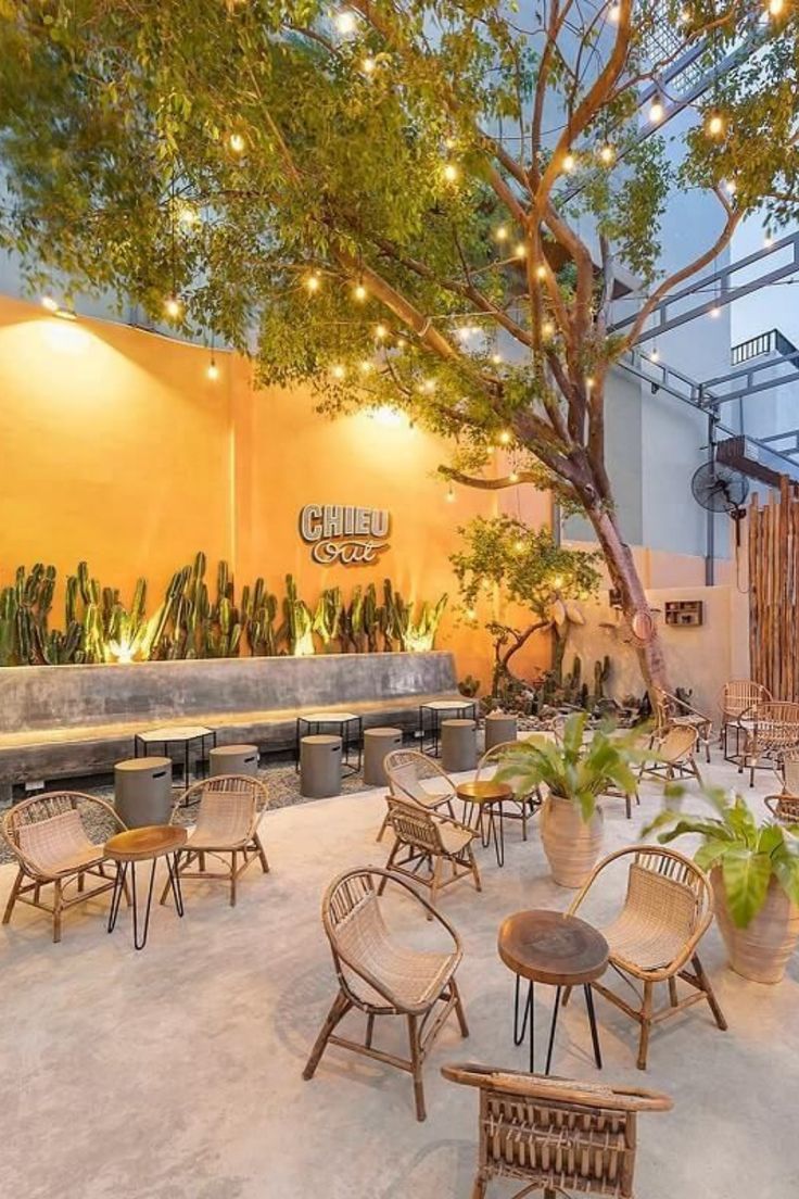 Cafe Design: A Tranquil Oasis Blending Indoor and Outdoor Aesthetics with Natural Elements