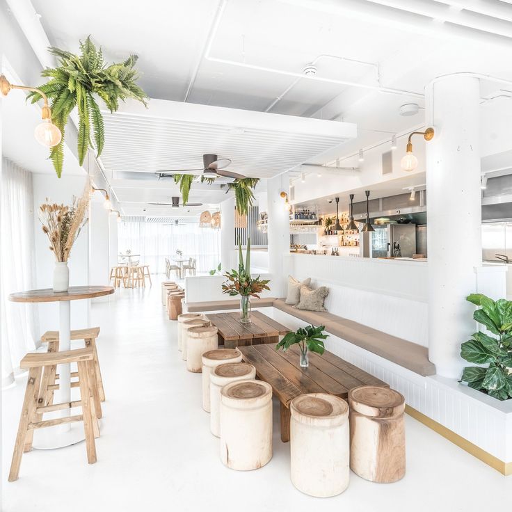 Modern Cafe Design Balances Bright Ambiance with Rustic Warmth and Natural Elements