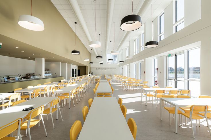 Bright and Inviting Cafe Design with Minimalist Aesthetic and Natural Light