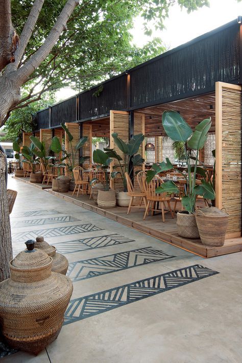 Cafe Design: A Harmonious Blend of Nature and Modern Aesthetics