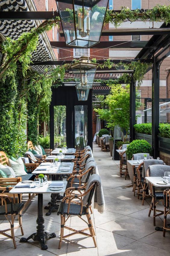 Charming Cafe Design: Inviting Outdoor Space with Lush Greenery and Elegant Furnishings