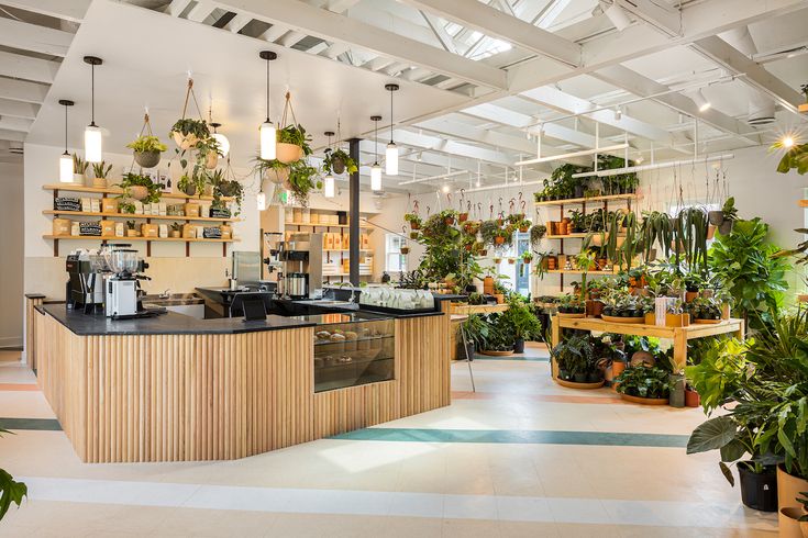 Tranquil Cafe Design Blending Nature and Modern Aesthetics