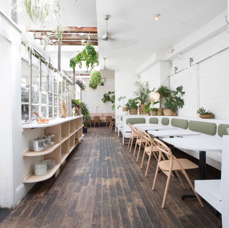 Refreshing Cafe Design: Bright, Airy Atmosphere with Natural Elements for Community Gathering