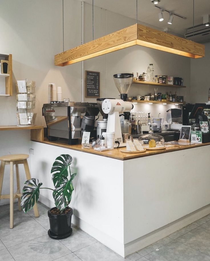 Minimalist Cafe Design Emphasizing Natural Materials and Specialty Brews