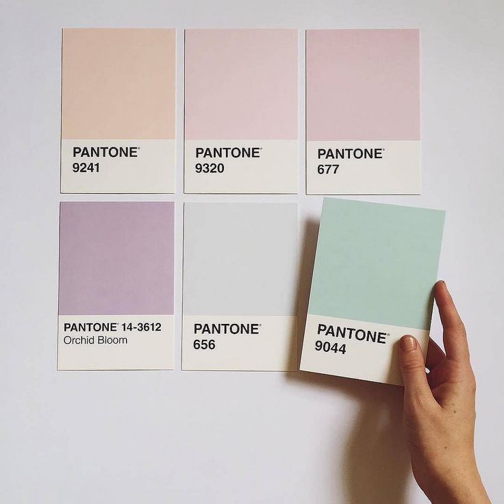 Pastel Color Palette for Soothing Cafe Design: Enhancing Relaxation and Aesthetics