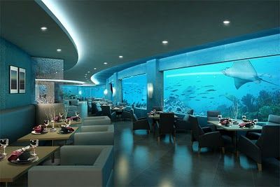 Underwater-Themed Cafe: An Immersive Dining Experience Amidst Vibrant Marine Life