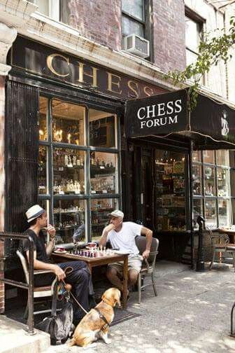 Charming Cafe: A Cozy Oasis for Chess and Community in the Urban Jungle