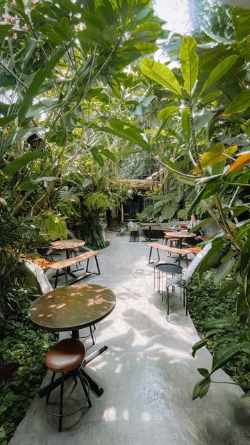 Tropical Cafe Oasis: A Serene Fusion of Nature and Comfort