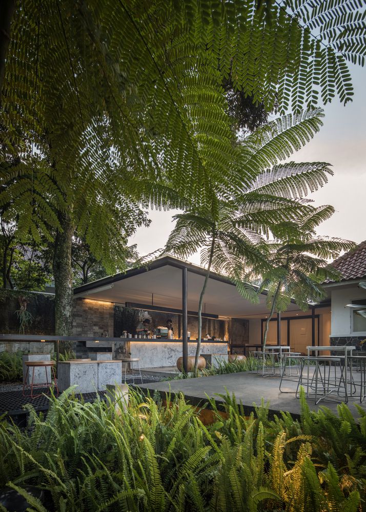 Harmonious Cafe Design Merges Modern Architecture with Nature for an Inviting, Serene Atmosphere