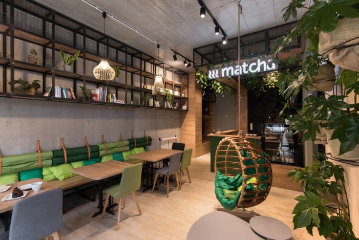 Modern Minimalist Cafe Design Emphasizing Natural Elements and Inviting Atmosphere