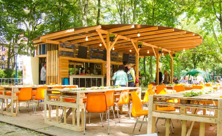 Harmonious Nature-Inspired Cafe Design Fosters Social Interaction and Relaxation