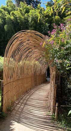 Bamboo Archway Pathway: An Enchanting Outdoor Experience for Cafe Guests