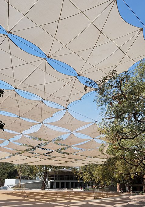 Dynamic Canopy Design Enhances Cafe Aesthetics and Connection to Nature