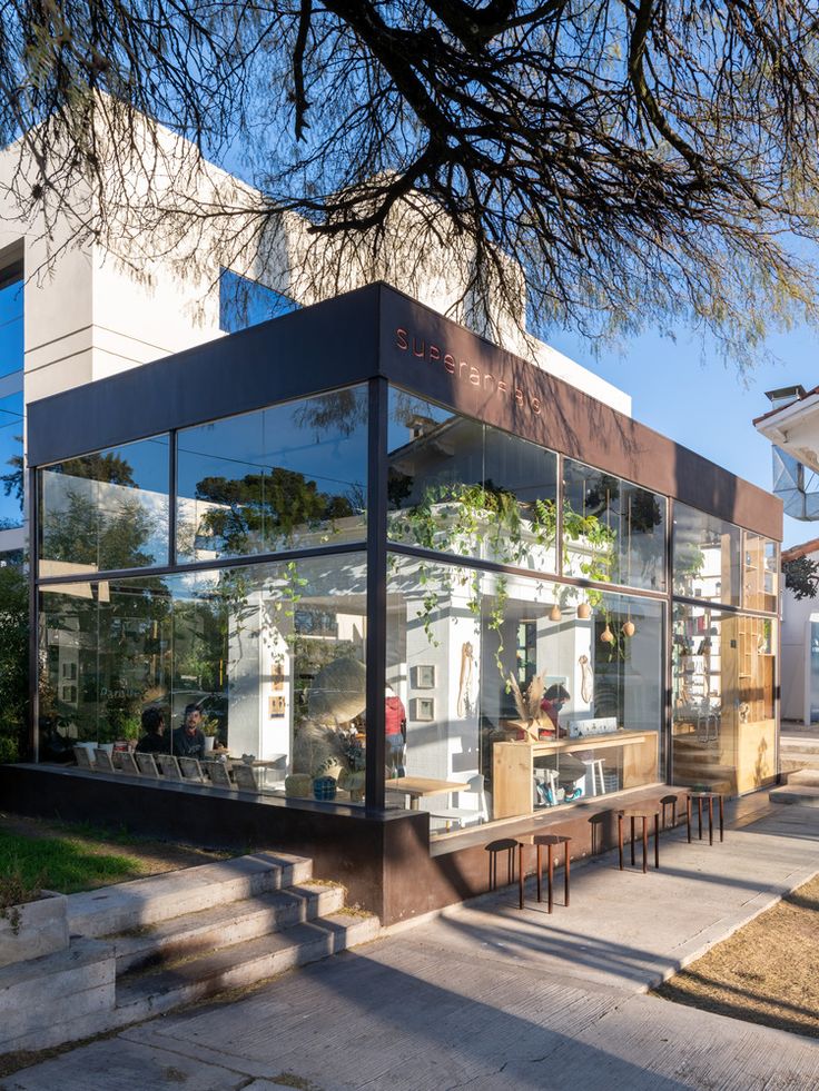 Modern Cafe with Glass Facade and Natural Elements Enhances Inviting Atmosphere