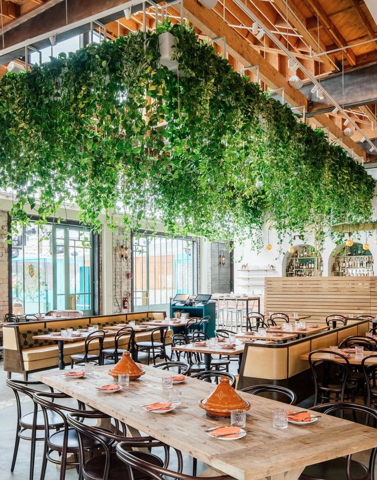 Welcoming Cafe Design Blends Indoor Comfort with Lush Natural Elements