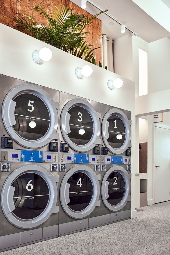 Innovative Cafe Design Merges Laundry Convenience with Modern Aesthetics