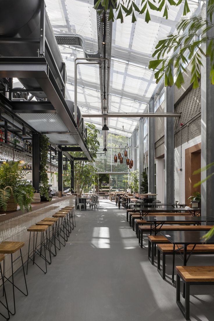 Modern Cafe Design Blends Natural Light and Lush Greenery for a Welcoming Atmosphere