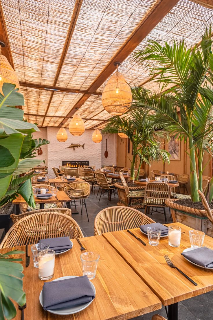 Tropical-Inspired Cafe Design: A Cozy and Serene Gathering Space