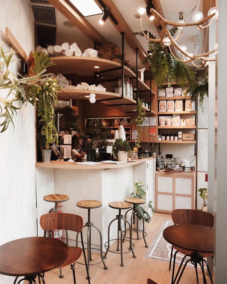 Modern Cozy Cafe: A Serene Oasis of Warm Wood, Greenery, and Chic Seating