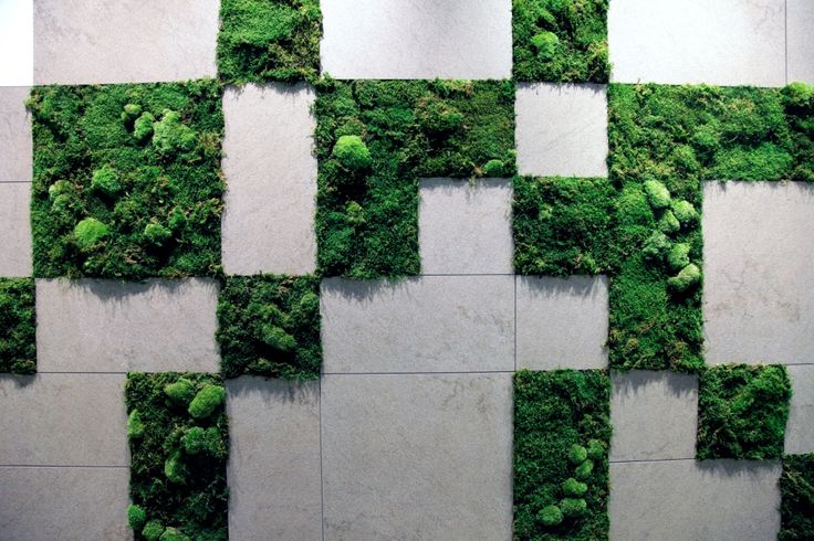 Innovative Cafe Design Featuring Vibrant Moss Accent Wall Enhances Aesthetic and Atmosphere