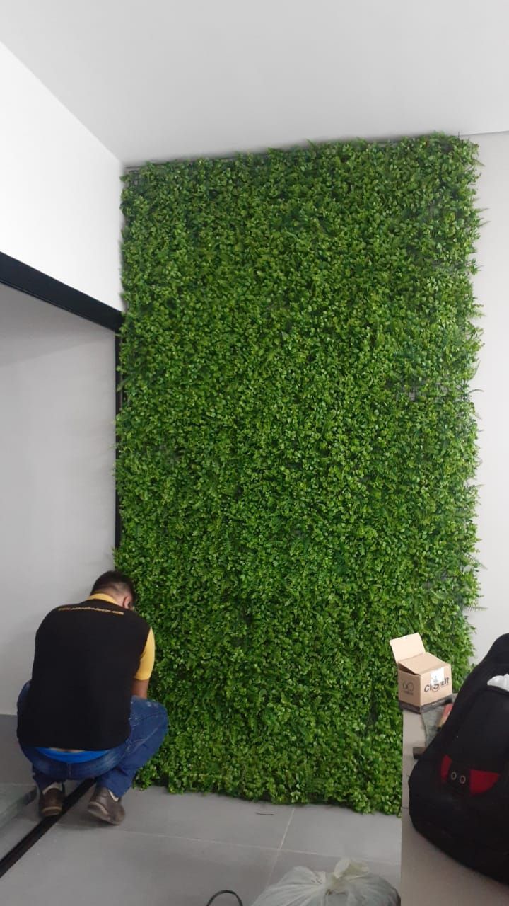 Vibrant Green Wall Enhances Cafe Ambiance with Lush Foliage and Improved Air Quality