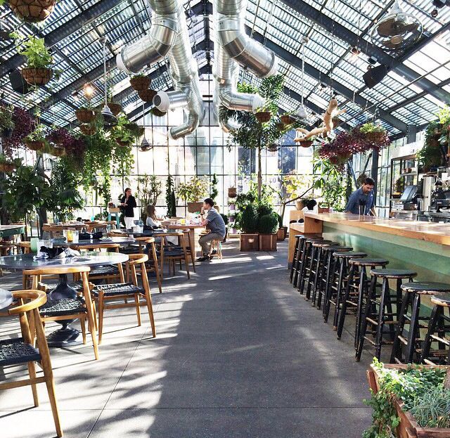 Botanical Bliss: A Spacious Cafe Designed for Relaxation and Community