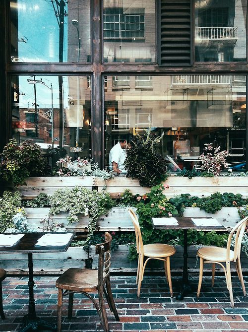 Charming Cafe Design Fostering Openness and Inviting Atmosphere Through Natural Elements and Urban Connection