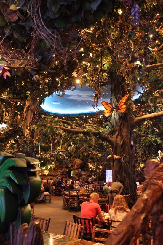 Whimsical Forest-Themed Cafe: An Enchanting Dining Experience Amidst Nature