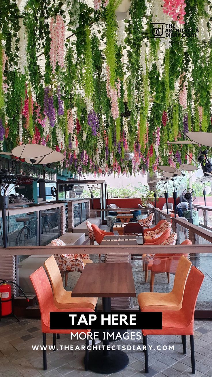 Vibrant Cafe Design Blends Comfort and Nature for a Delightful Relaxation Space