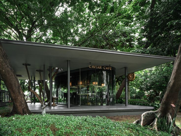 Modern Cafe Design Blends Seamlessly with Nature for a Tranquil Dining Experience