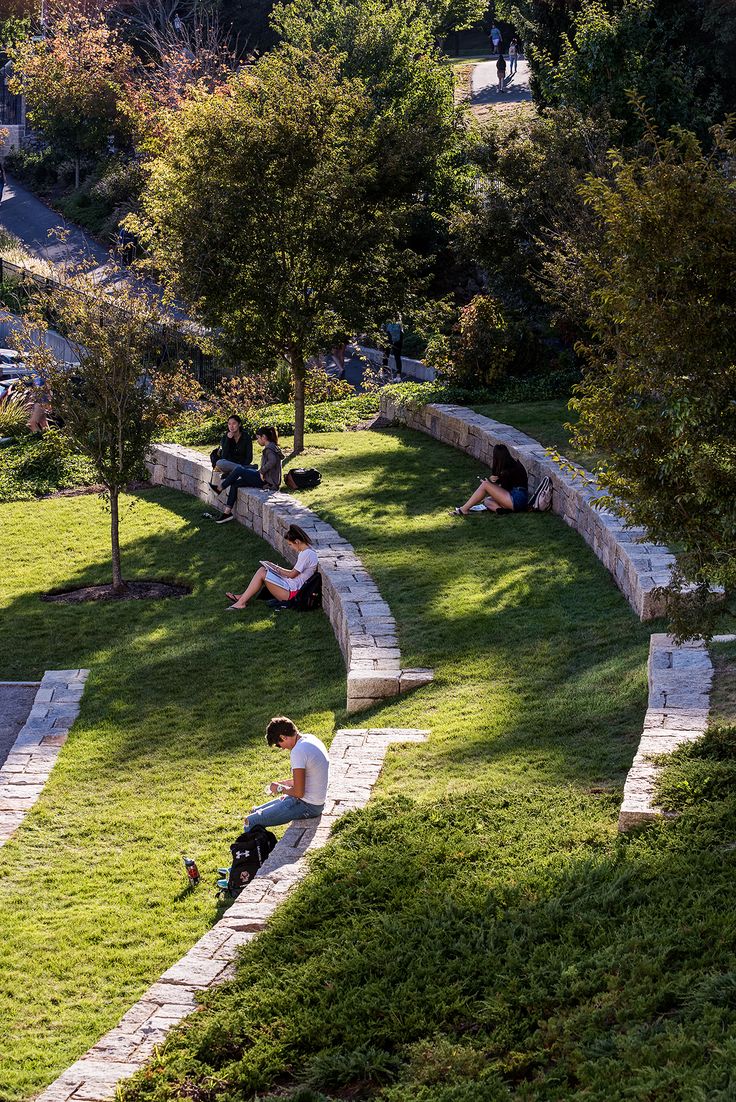 Harmonious Cafe Design Fusing Natural Elements and Functional Seating for Community Engagement