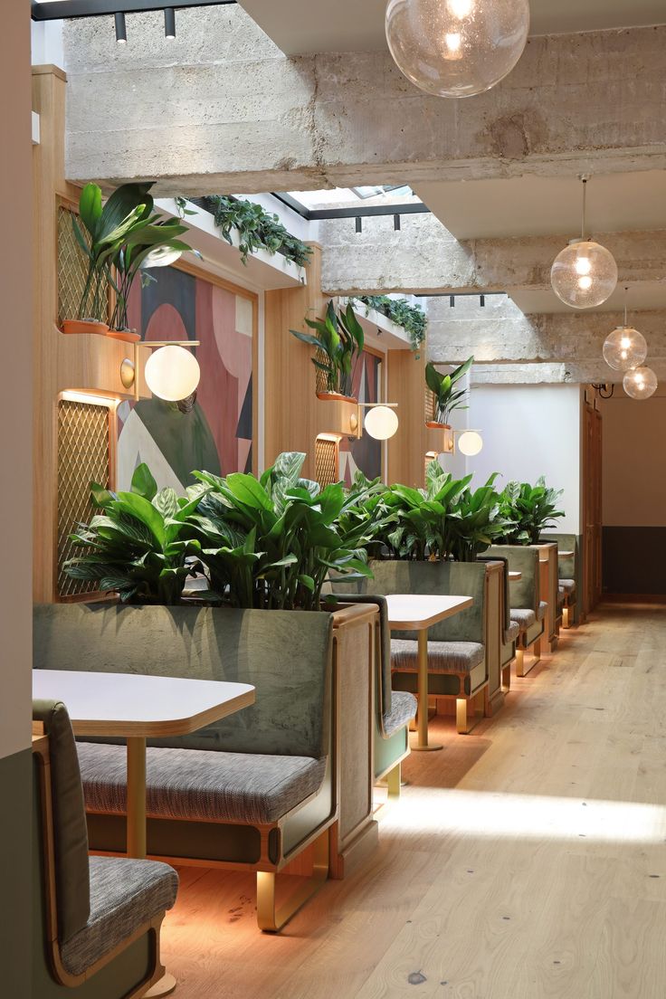 Modern Cafe Design with Natural Light, Cozy Seating, and Lush Greenery