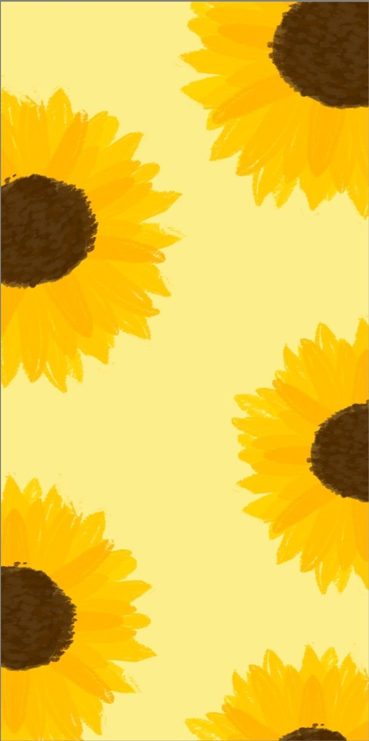 Cheerful Sunflower Design Infuses Cafe Atmosphere with Warmth and Vitality