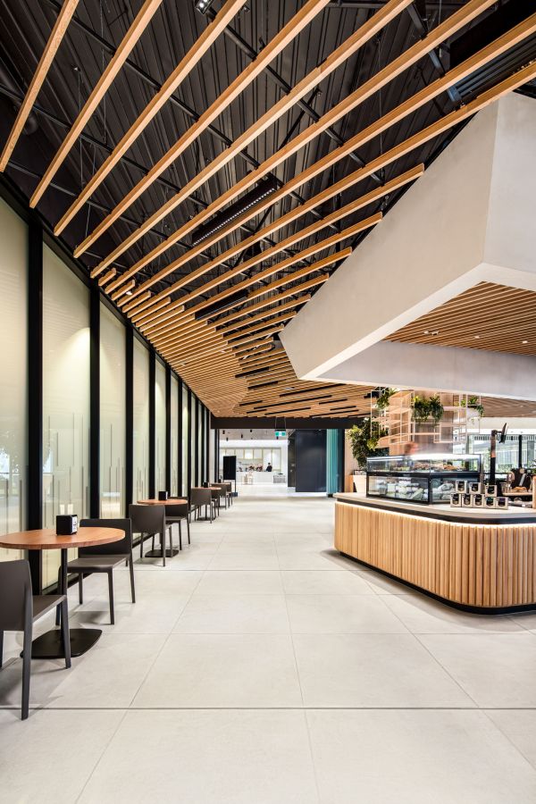 Cafe Design: A Harmonious Fusion of Modern Aesthetics and Inviting Warmth with Natural Elements