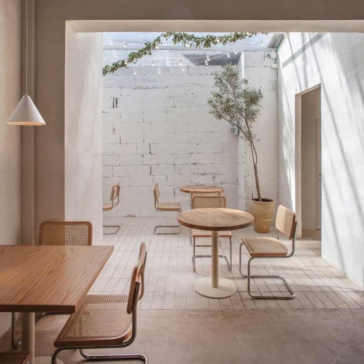 Minimalist Cafe Design: A Serene Blend of Natural Light and Contemporary Elements