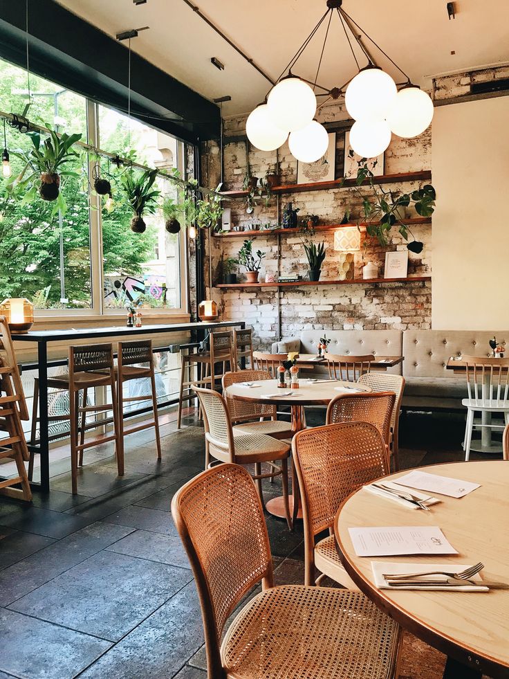 Cafe's Cozy Ambiance: A Harmonious Blend of Rustic Charm and Natural Elements