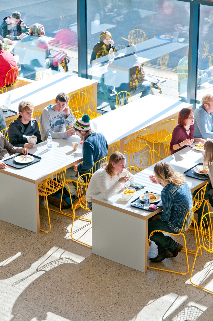 Modern Cafe Design: Inviting and Communal Atmosphere with Ample Natural Light